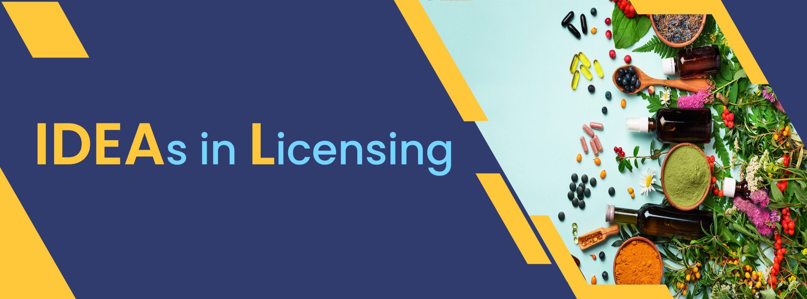 ideas in licensing final