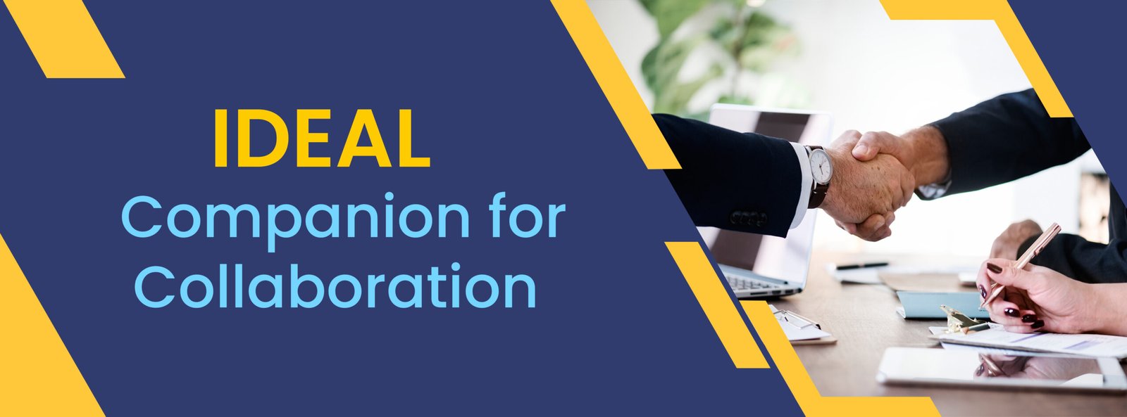 Ideal Companion - updated